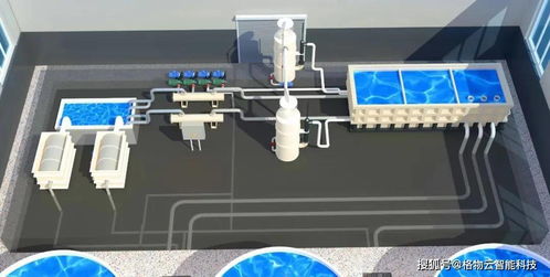 科技力量引领水产养殖新模式 信息技术咨询服务的角色与前景
